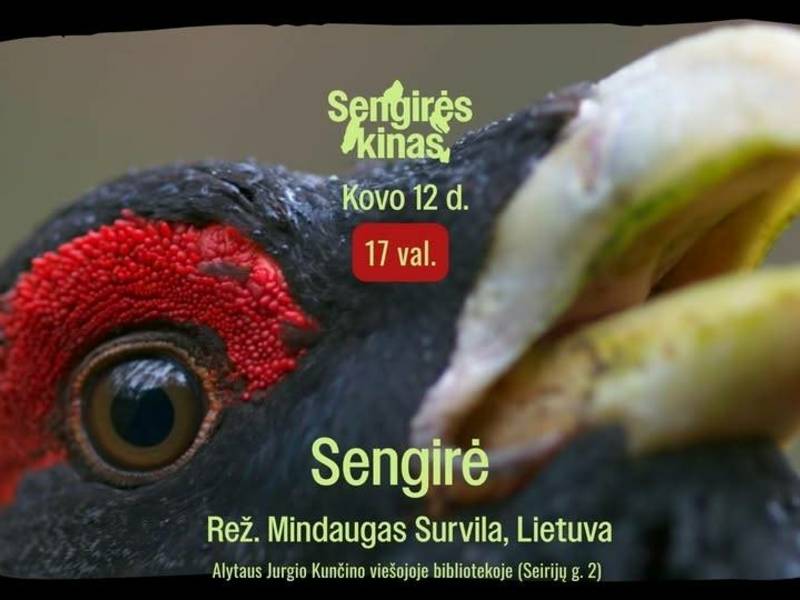 SENGIRĖS KINAS | Dokumentinės poemos „Sengirė“ (rež. Mindaugas Survila) kino seansas