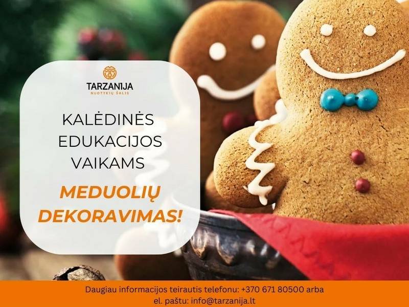 „Kalėdinių meduolių dekoravimo“ edukacija „Tarzanijoje“ 